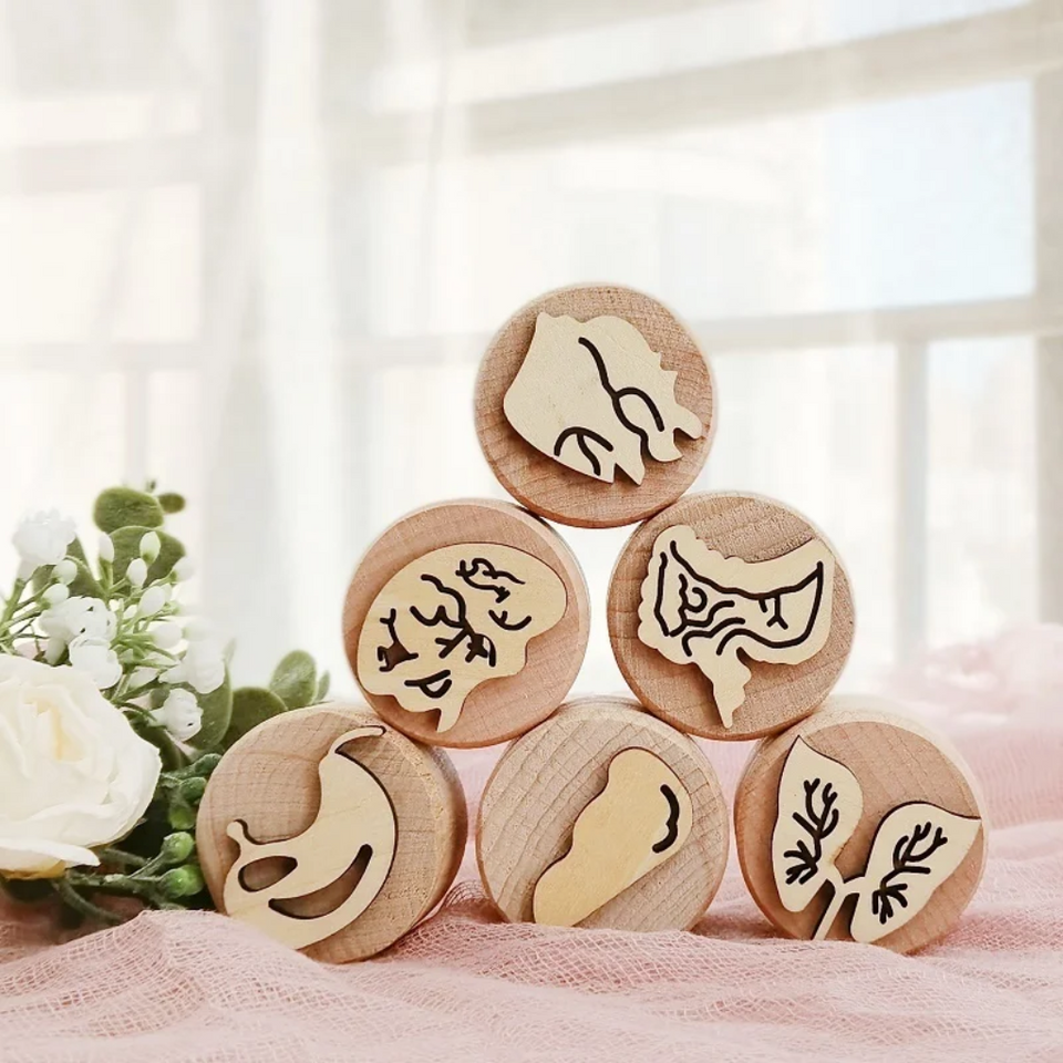 WoodStamp – Montessori & Kreativ – 6 Stück Holz-Knetstempel