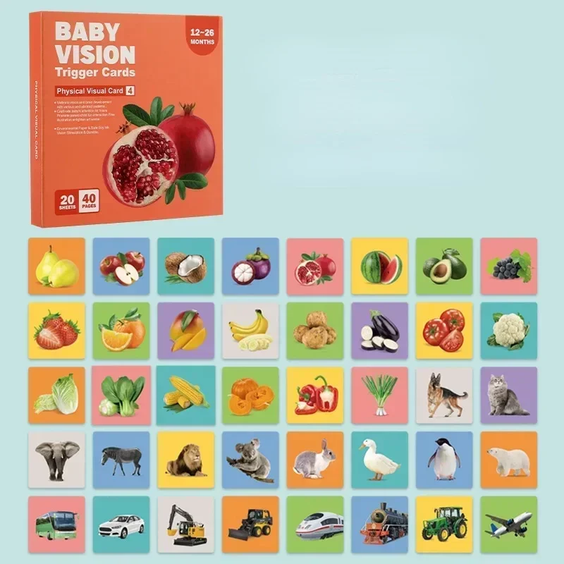VisionBook – Lehrreich & informativ – Baby-Kognitionskartenbuch