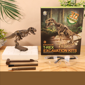 DinoDig – Spannend und lehrreich – Fossilienausgrabungsset