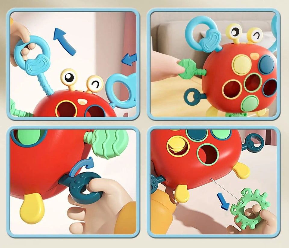 Sensory Crab™ - Legende Magi - Sensorisk legetøj