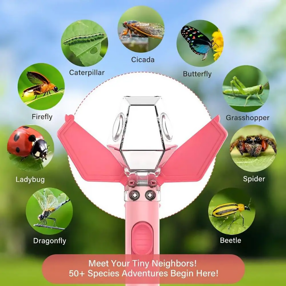 BugMaster – Lehrreich & unterhaltsam – Multifunktionaler Insektenfänger