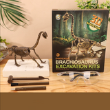 DinoDig – Spannend und lehrreich – Fossilienausgrabungsset