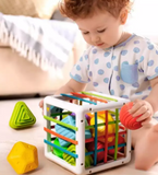 Sorting Cube™ - Sorteringsterning - Terning til undervisning