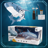SeaBuddy – Kreativ & Aktiv – RC Haai