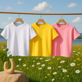 LumiWear – Frisch & Zeitlos – Basic-T-Shirt mit kurzen Ärmeln