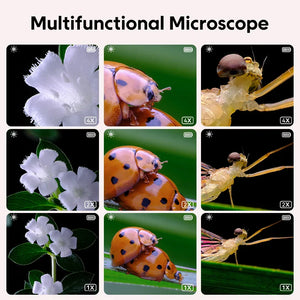 Mini Kids Microscope™ - Wissenschaft unter der Linse - Mikroskop