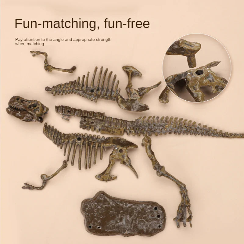DinoDig – Spannend und lehrreich – Fossilienausgrabungsset