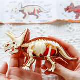 DinoDig – Spannend und lehrreich – Fossilienausgrabungsset