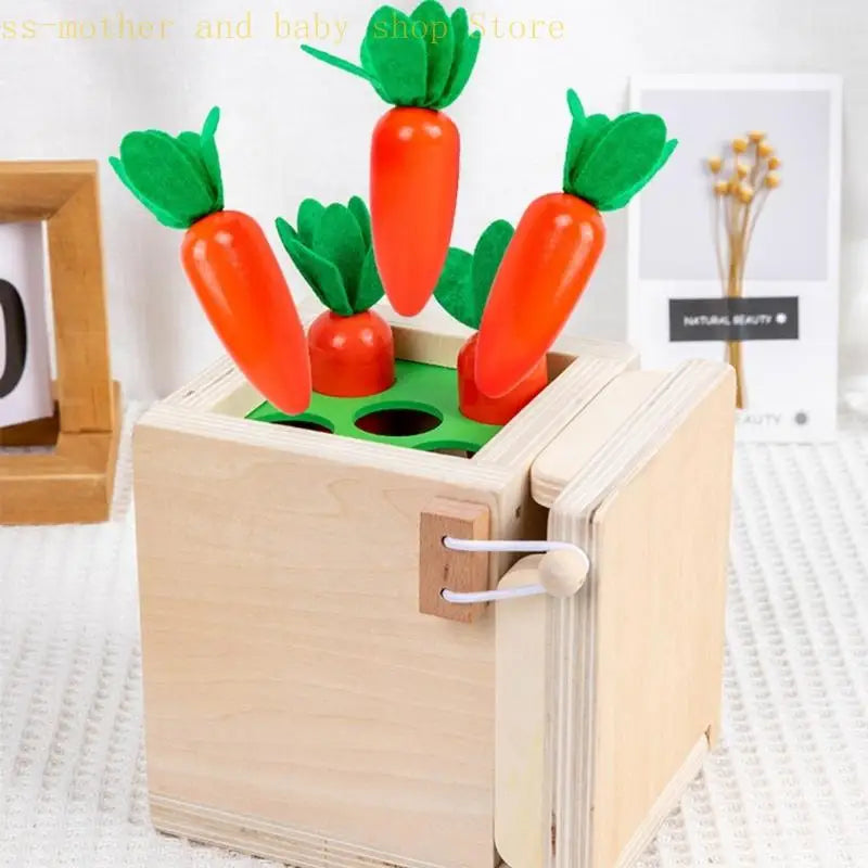 Smart Carrots –  Farver & former - sorteringslegetøj i træ