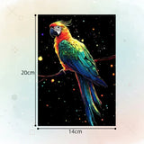 GlowArt – Glow-in-the-dark – Rubbelkarten-Set