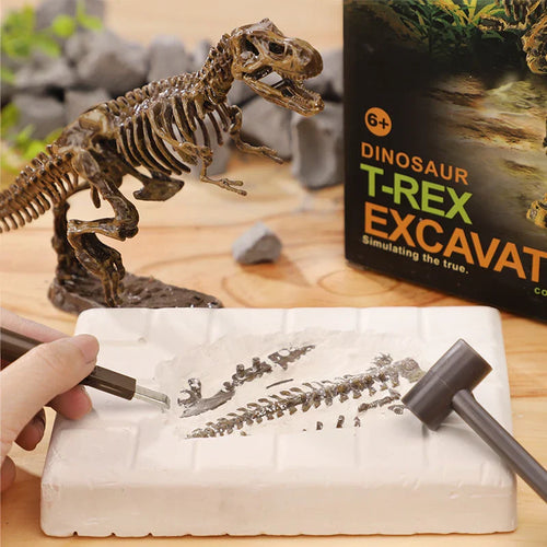 DinoDig – Spannend und lehrreich – Fossilienausgrabungsset