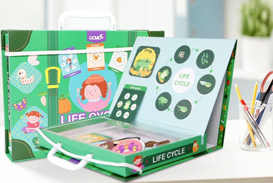 LifeCycle™ - Ein spielerischer Weg, etwas über Lebenszyklen zu lernen! - Puzzle Box