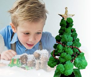 GrowTree™ - Züchte deinen eigenen Weihnachtsbaum! - Weihnachtsbaum-Anbausatz (1+1 GRATIS)